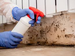 Mold Removal